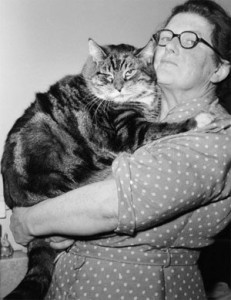 byrne-crazycatlady-ins1