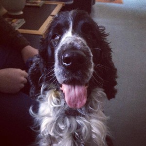 Learn how one photographer organically grew her Facebook following to over 9,000 likes!