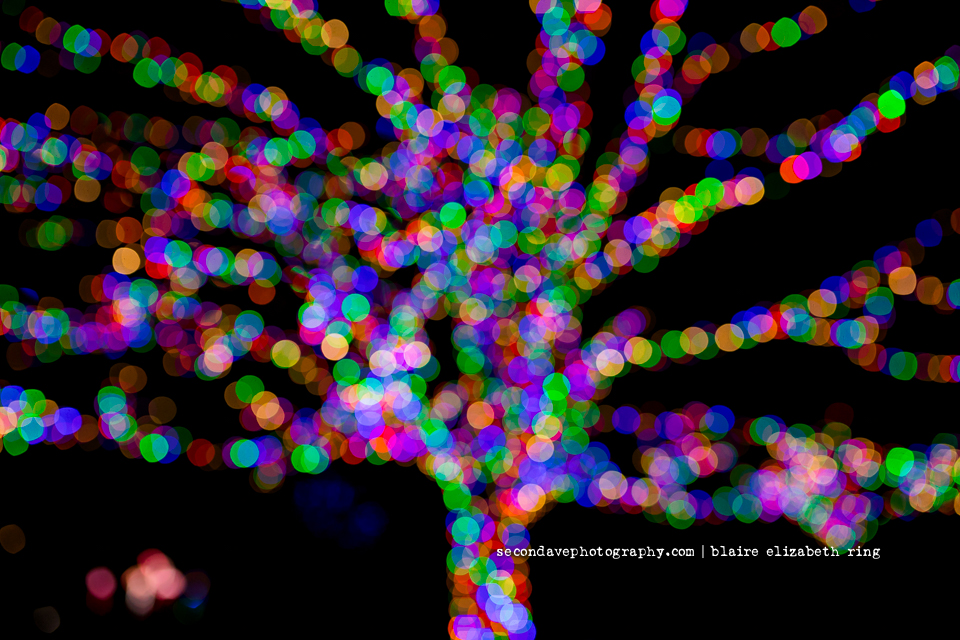 Ever wonder what a day looks like for a photographer raising two of her own little ones? Check out this day in the life post from Blaire of Second Ave Photography!