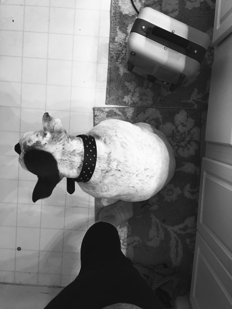 Check out what a day in the life looks like for a photographer momma heading to document a birth!