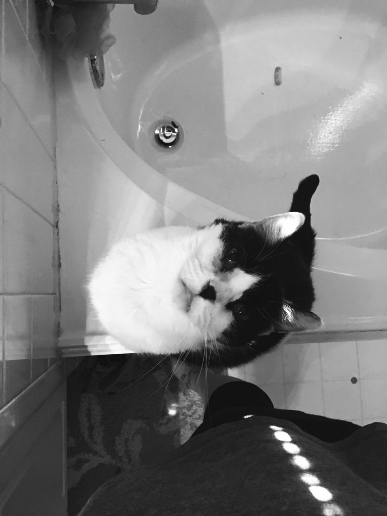 Check out what a day in the life looks like for a photographer momma heading to document a birth!